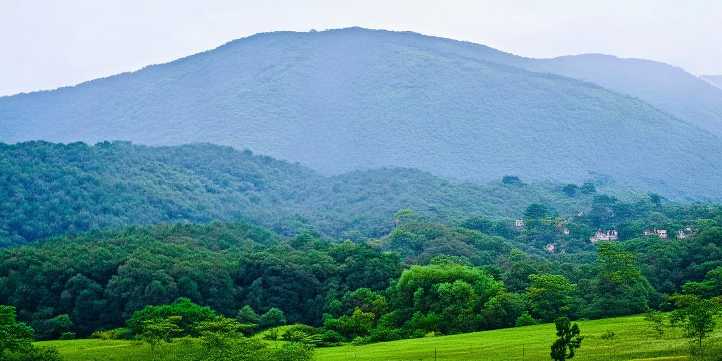 揭东区现代农业产业园荣获省级示范园区称号,引领区域农业现代化发展